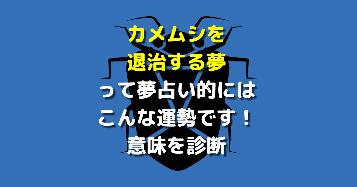 夢占い カメムシを退治する夢